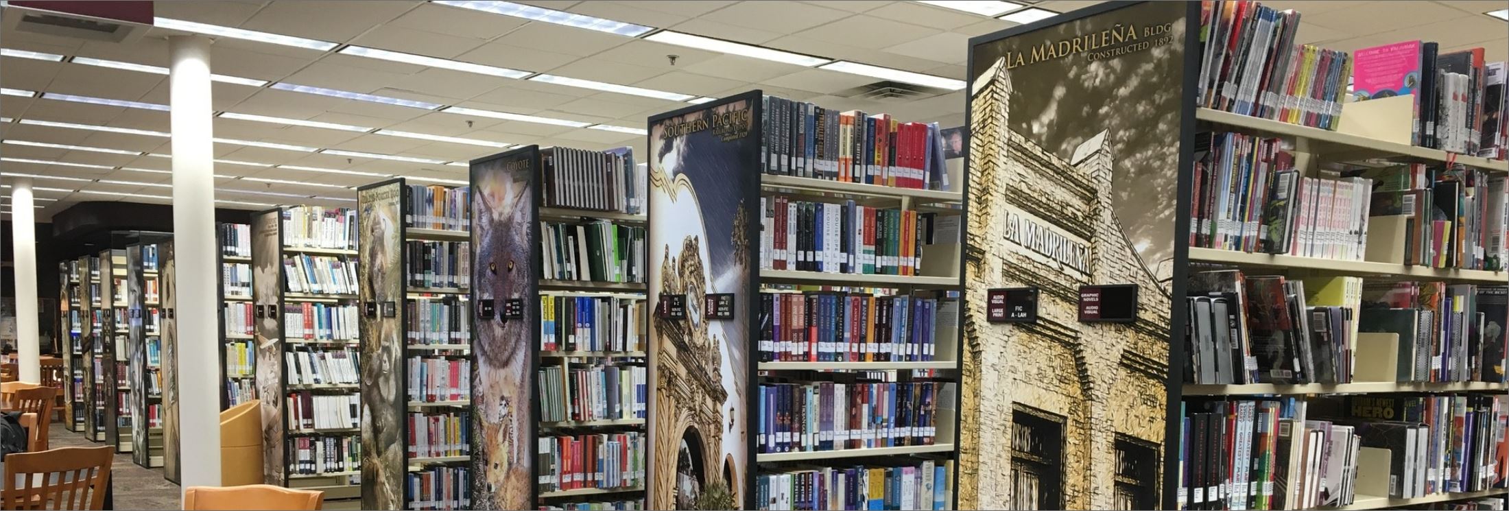 The Library - Ryan McGinnis