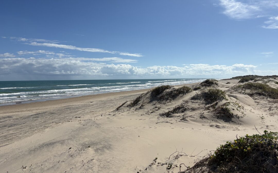 Happy New Year & a Look Ahead